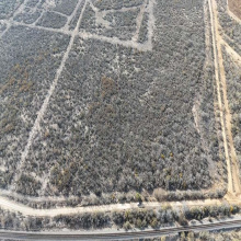 005 Ranch Rd, ENCINAL, Texas 78019, ,Land,For Sale,005 Ranch Rd,20260616