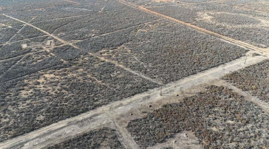 006 Ranch Rd, ENCINAL, Texas 78019, ,Land,For Sale,006 Ranch Rd,20260617