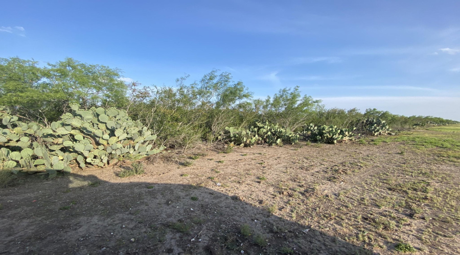 006 Ranch Rd, ENCINAL, Texas 78019, ,Land,For Sale,006 Ranch Rd,20260617