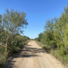 007 Ranch Rd, ENCINAL, Texas 78019, ,Land,For Sale,007 Ranch Rd,20260618