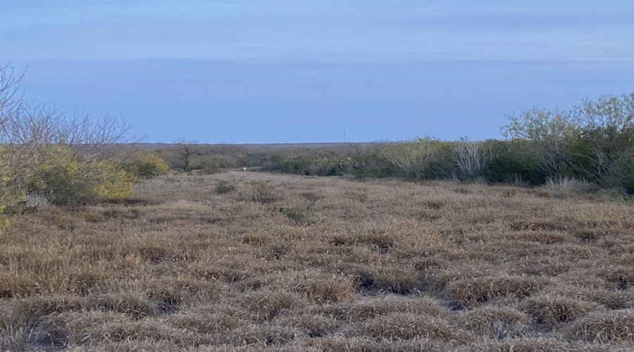 007 Ranch Rd, ENCINAL, Texas 78019, ,Land,For Sale,007 Ranch Rd,20260618