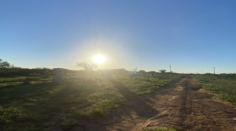 007 Ranch Rd, ENCINAL, Texas 78019, ,Land,For Sale,007 Ranch Rd,20260618