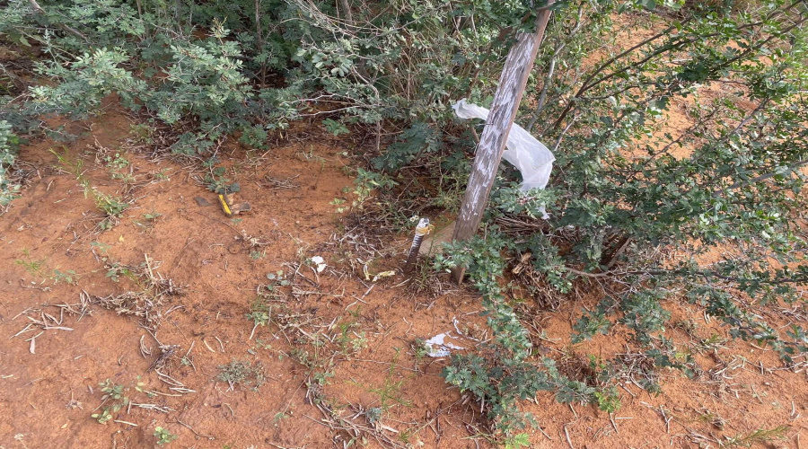 M56 IH 35 Frontage, Artesia Wells, Texas 78001, ,Land,For Sale,M56 IH 35 Frontage,20260640