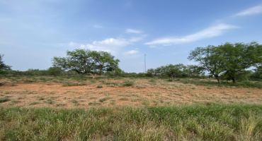 M56 IH 35 Frontage, Artesia Wells, Texas 78001, ,Land,For Sale,M56 IH 35 Frontage,20260640