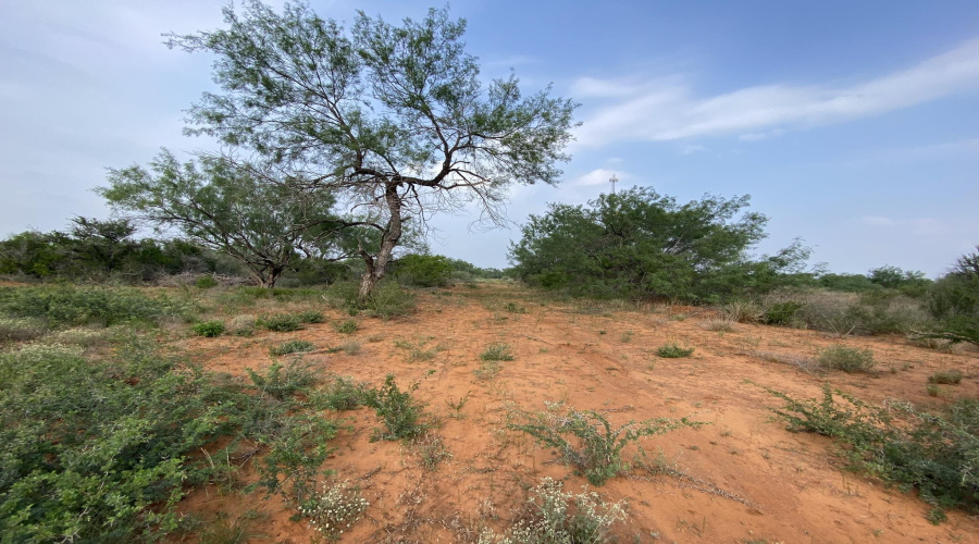 M56 IH 35 Frontage, Artesia Wells, Texas 78001, ,Land,For Sale,M56 IH 35 Frontage,20260640