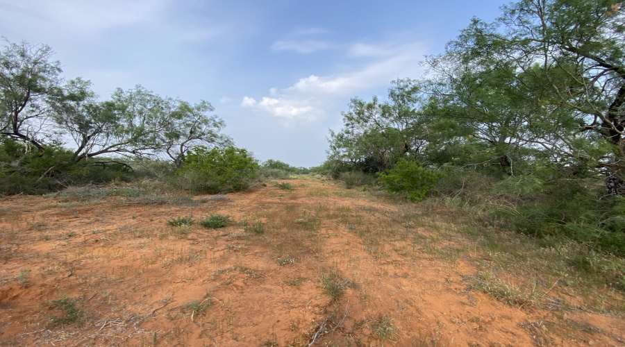 M56 IH 35 Frontage, Artesia Wells, Texas 78001, ,Land,For Sale,M56 IH 35 Frontage,20260640