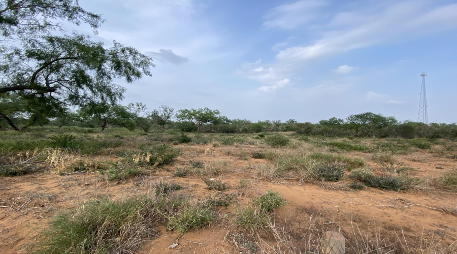 M56 IH 35 Frontage, Artesia Wells, Texas 78001, ,Land,For Rent,M56 IH 35 Frontage,20260641