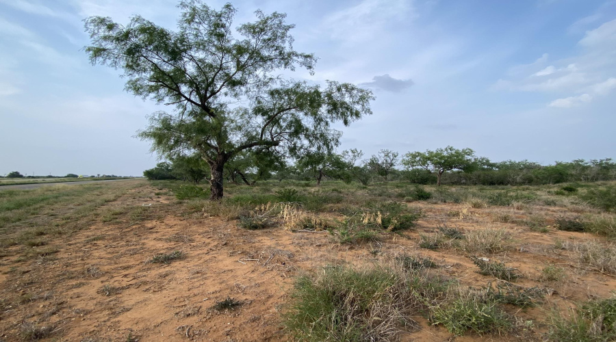 M56 IH 35 Frontage, Artesia Wells, Texas 78001, ,Land,For Rent,M56 IH 35 Frontage,20260641