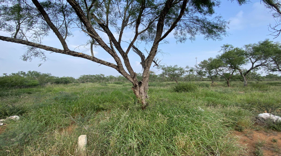 M56 IH 35 Frontage, Artesia Wells, Texas 78001, ,Land,For Rent,M56 IH 35 Frontage,20260641