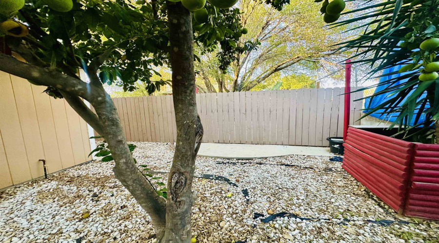 3023 Potomac Lp, Laredo, Texas 78046, 1 Bedroom Bedrooms, 2 Rooms Rooms,1 BathroomBathrooms,Residential,For Rent,3023 Potomac Lp,20260639