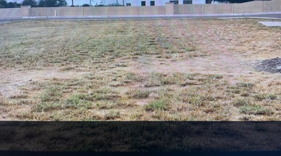 10414 Medical Lp, Laredo, Texas 78045, ,Land,For Sale,10414 Medical Lp,20260662