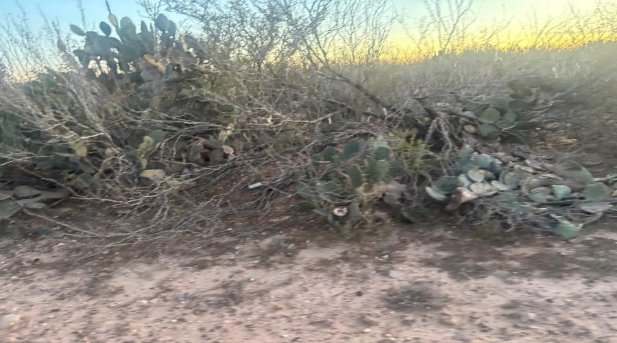 166 Camino Sierra Rd., Laredo, Texas 78043, ,Land,For Sale,166 Camino Sierra Rd.,20260678