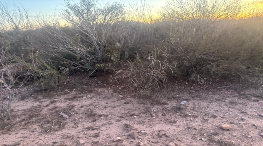 166 Camino Sierra Rd., Laredo, Texas 78043, ,Land,For Sale,166 Camino Sierra Rd.,20260678