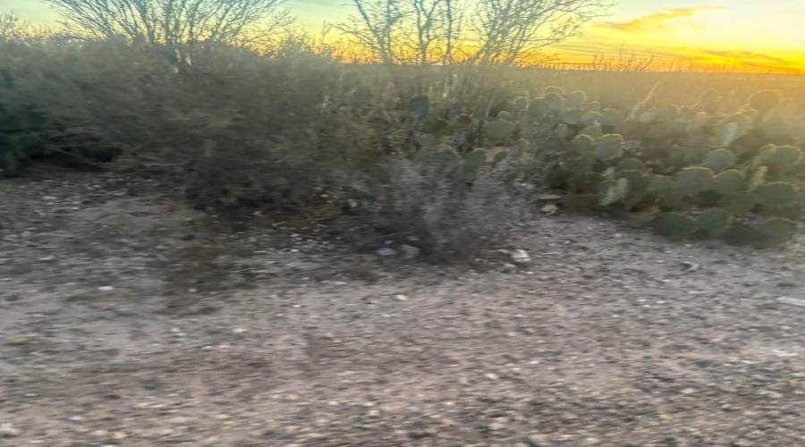 166 Camino Sierra Rd., Laredo, Texas 78043, ,Land,For Sale,166 Camino Sierra Rd.,20260678