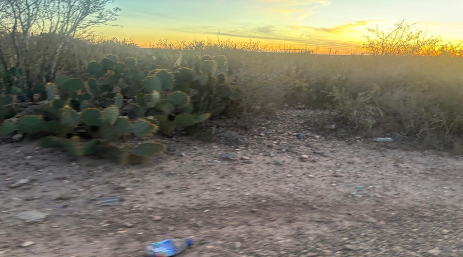 166 Camino Sierra Rd., Laredo, Texas 78043, ,Land,For Sale,166 Camino Sierra Rd.,20260678