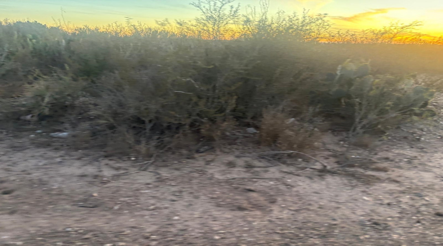 166 Camino Sierra Rd., Laredo, Texas 78043, ,Land,For Sale,166 Camino Sierra Rd.,20260678