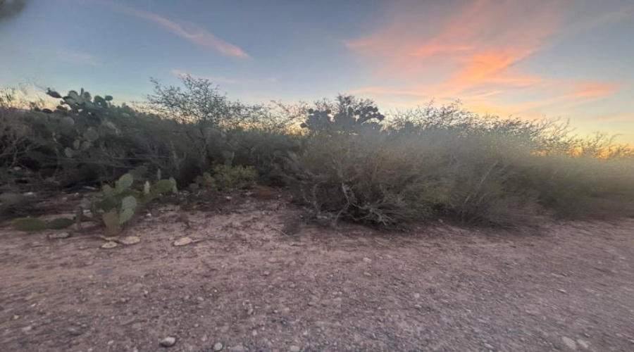 164 Camino Sierra Rd., Laredo, Texas 78043, ,Land,For Sale,164 Camino Sierra Rd.,20260681