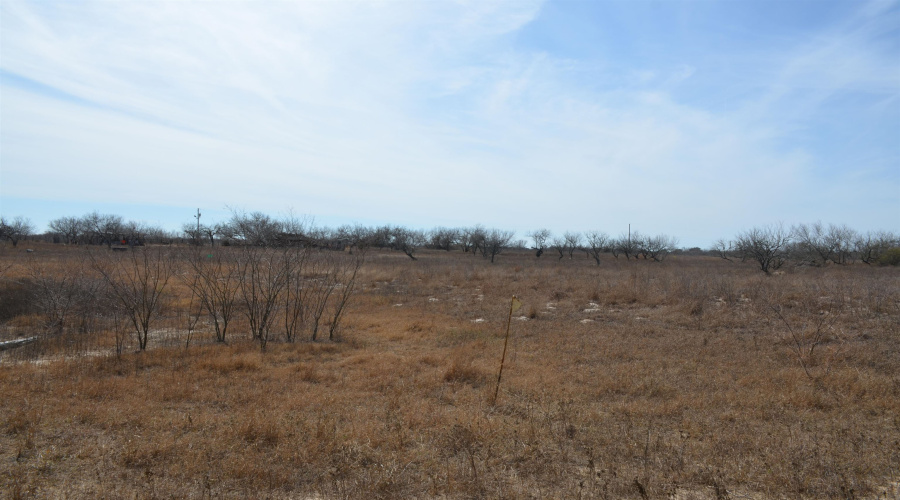 000 U.S. Hwy 285, REALITOS, Texas 78376, ,Land,For Sale,000 U.S. Hwy 285,20260687