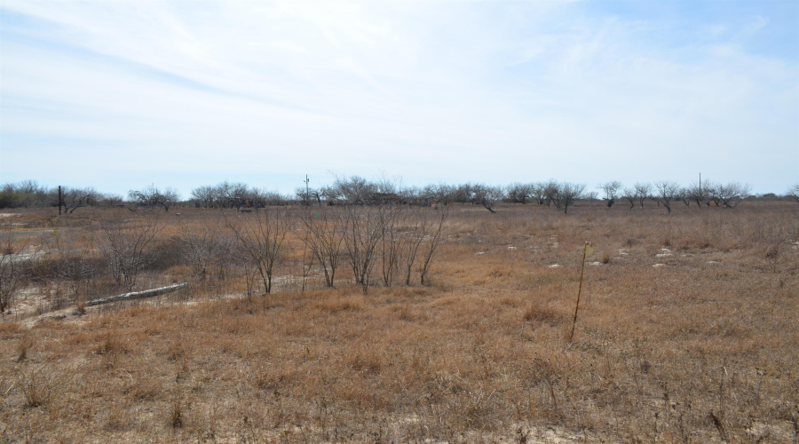 000 U.S. Hwy 285, REALITOS, Texas 78376, ,Land,For Sale,000 U.S. Hwy 285,20260687