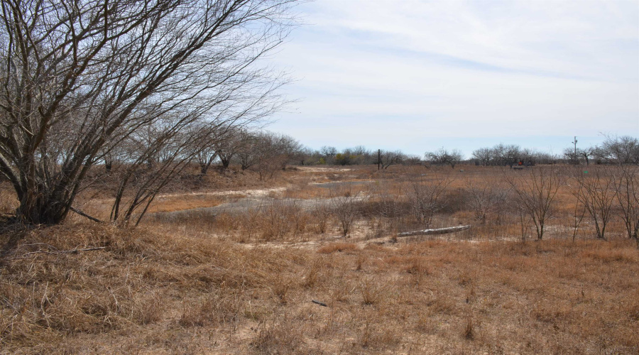 000 U.S. Hwy 285, REALITOS, Texas 78376, ,Land,For Sale,000 U.S. Hwy 285,20260687