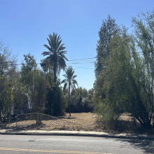 801 Market St, Laredo, Texas 78040, ,Land,For Rent,801 Market St,20260696