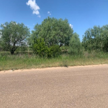 398 Well Ln, Los Botines, Texas 78045, ,Land,For Sale,398 Well Ln,20260720