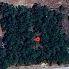 302 County Rd, Falfurrias, Texas 78355-5260, ,Land,For Sale,302 County Rd,20260738