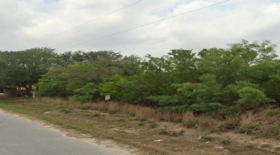 302 County Rd, Falfurrias, Texas 78355-5260, ,Land,For Sale,302 County Rd,20260738