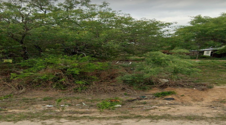 302 County Rd, Falfurrias, Texas 78355-5260, ,Land,For Sale,302 County Rd,20260738