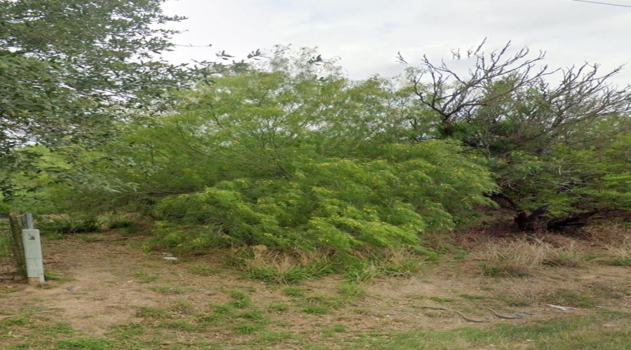 302 County Rd, Falfurrias, Texas 78355-5260, ,Land,For Sale,302 County Rd,20260738