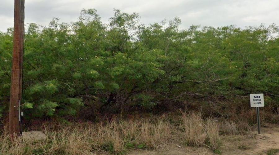 302 County Rd, Falfurrias, Texas 78355-5260, ,Land,For Sale,302 County Rd,20260738