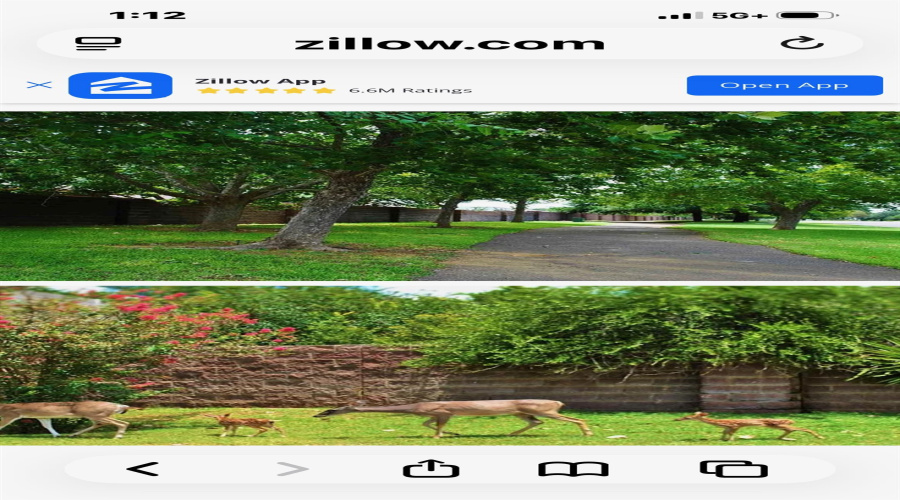 407 Cinnamon Teal Lp, Laredo, Texas 78045, 3 Bedrooms Bedrooms, 4 Rooms Rooms,2 BathroomsBathrooms,Residential,For Rent,407 Cinnamon Teal Lp,20260774