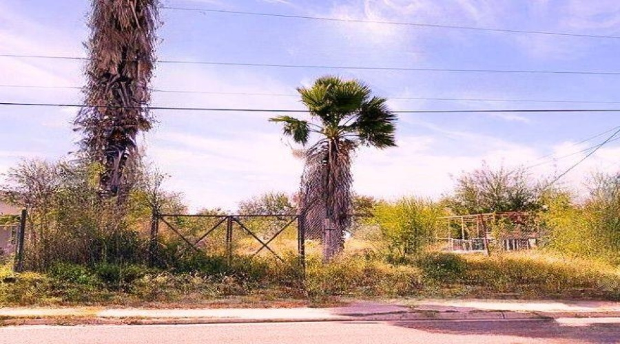 424 Morales, El Cenizo, Texas 78046, ,Land,For Sale,424 Morales,20260864