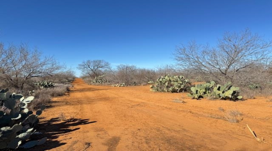 6252B U.S. Hwy 83 North, LAREDO, Texas 78045, ,Land,For Sale,6252B U.S. Hwy 83 North,20260874