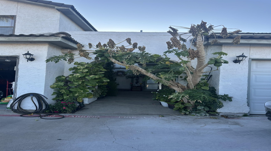 100 E Village Blvd, LAREDO, Texas 78041, 2 Bedrooms Bedrooms, 4 Rooms Rooms,2 BathroomsBathrooms,Residential,For Sale,100 E Village Blvd,20260871