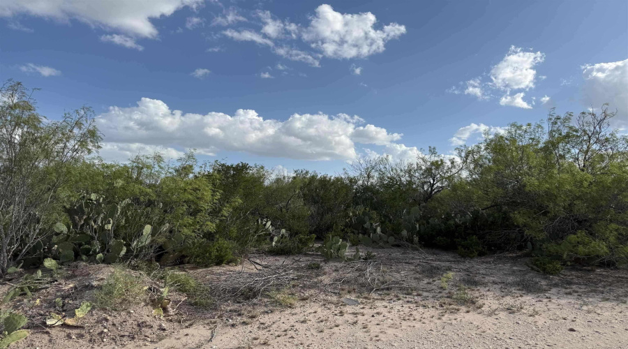 000 Las Pilas Rd., Laredo, Texas 78044, ,Land,For Sale,000 Las Pilas Rd.,20260929