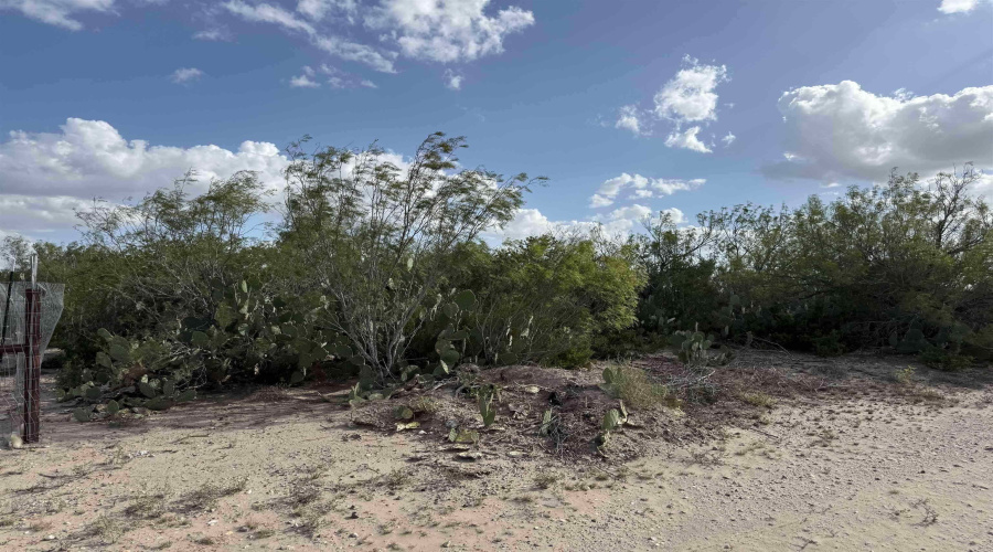 000 Las Pilas Rd., Laredo, Texas 78044, ,Land,For Sale,000 Las Pilas Rd.,20260929
