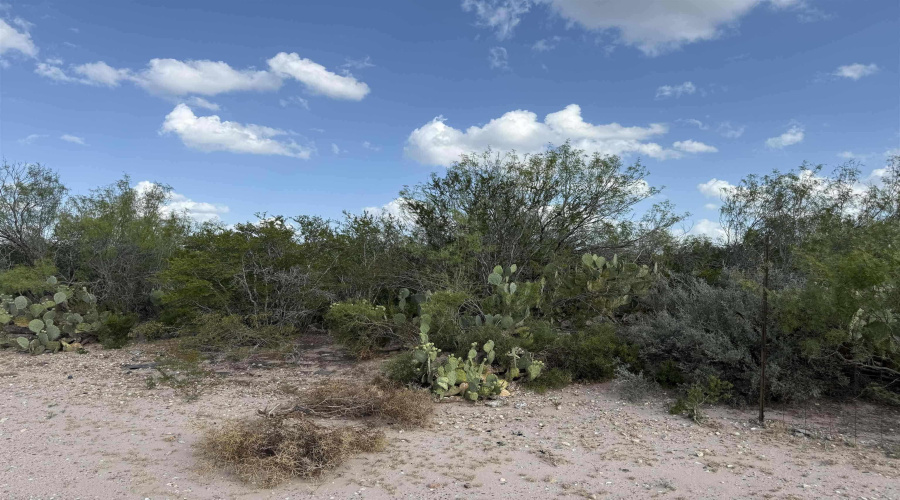 000 Las Pilas Rd., Laredo, Texas 78044, ,Land,For Sale,000 Las Pilas Rd.,20260929