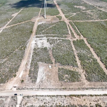 County Rd, Benavides, Texas 78341, ,Land,For Sale,County Rd,20260971