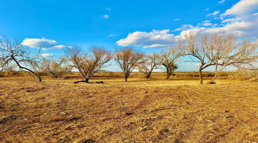 A-212 GT J & V FLORES, San Diego, Texas 78384, ,Land,For Sale,A-212 GT J & V FLORES,20260976