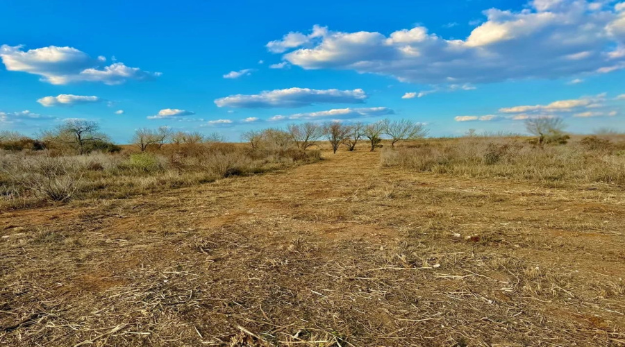 A-212 GT J & V FLORES, San Diego, Texas 78384, ,Land,For Sale,A-212 GT J & V FLORES,20260976