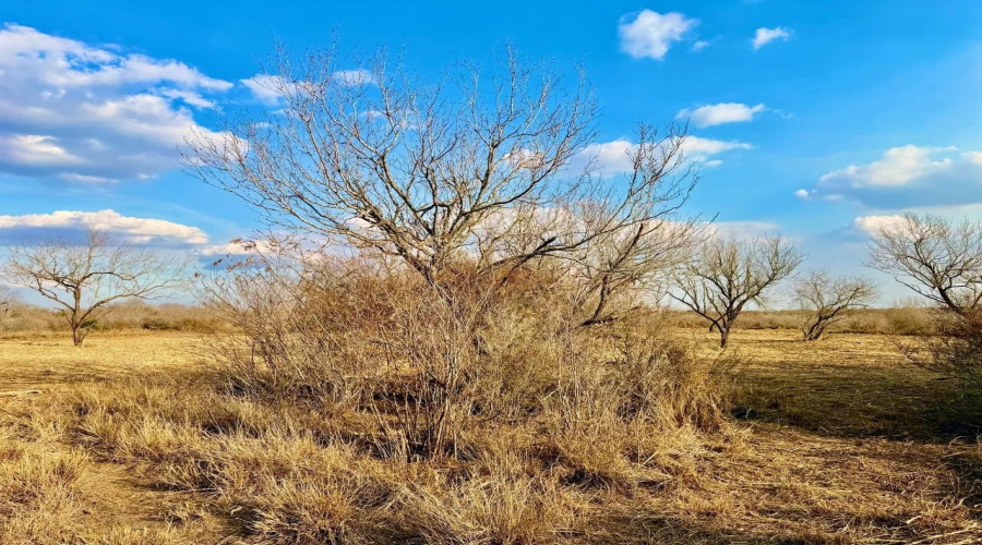 A-212 GT J & V FLORES, San Diego, Texas 78384, ,Land,For Sale,A-212 GT J & V FLORES,20260976