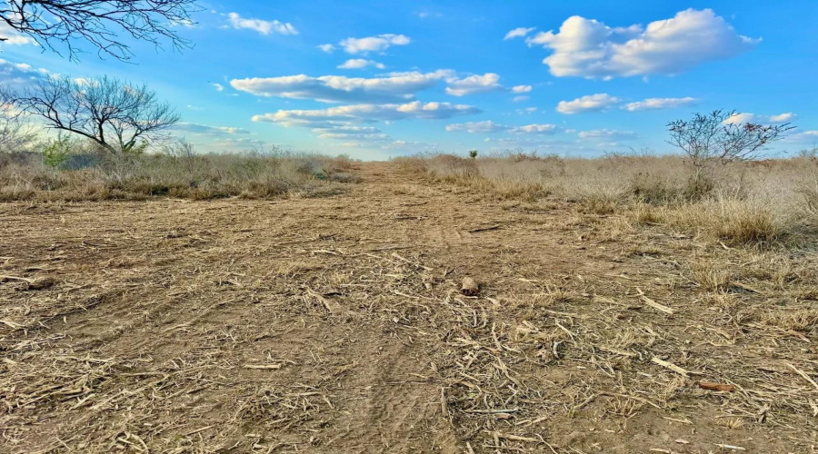 A-212 GT J & V FLORES, San Diego, Texas 78384, ,Land,For Sale,A-212 GT J & V FLORES,20260976