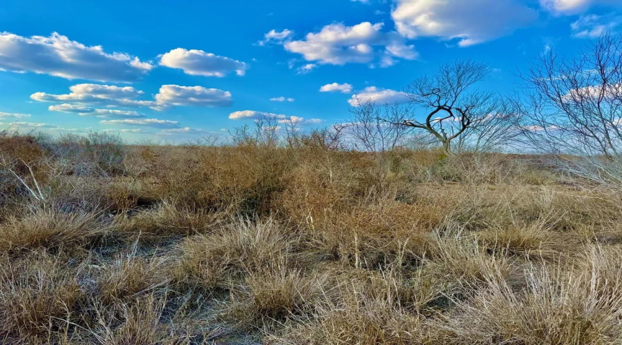 A-212 GT J & V FLORES, San Diego, Texas 78384, ,Land,For Sale,A-212 GT J & V FLORES,20260976