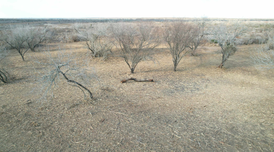 A-212 GT J & V FLORES, San Diego, Texas 78384, ,Land,For Sale,A-212 GT J & V FLORES,20260976