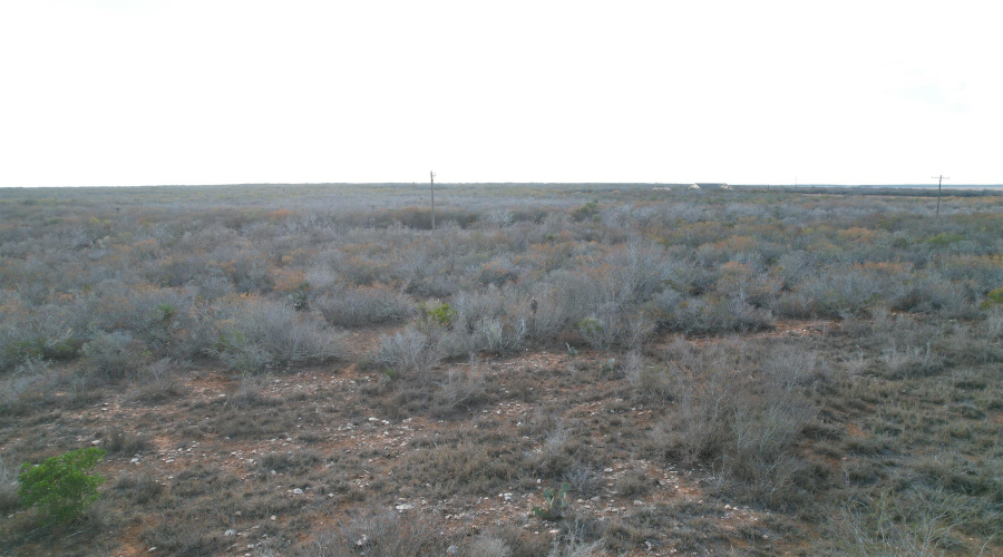 A-212 GT J & V FLORES, San Diego, Texas 78384, ,Land,For Sale,A-212 GT J & V FLORES,20260976