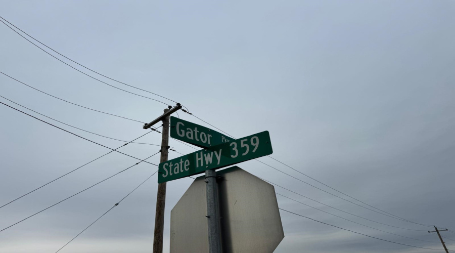 6015 Heather Loop, Laredo, Texas 78043, ,Land,For Sale,6015 Heather Loop,20260996