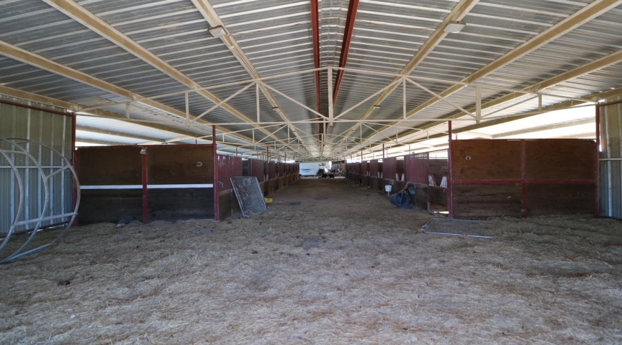 001 IH-35, Encinal, Texas 78019, ,Land,For Sale,001 IH-35,20261037