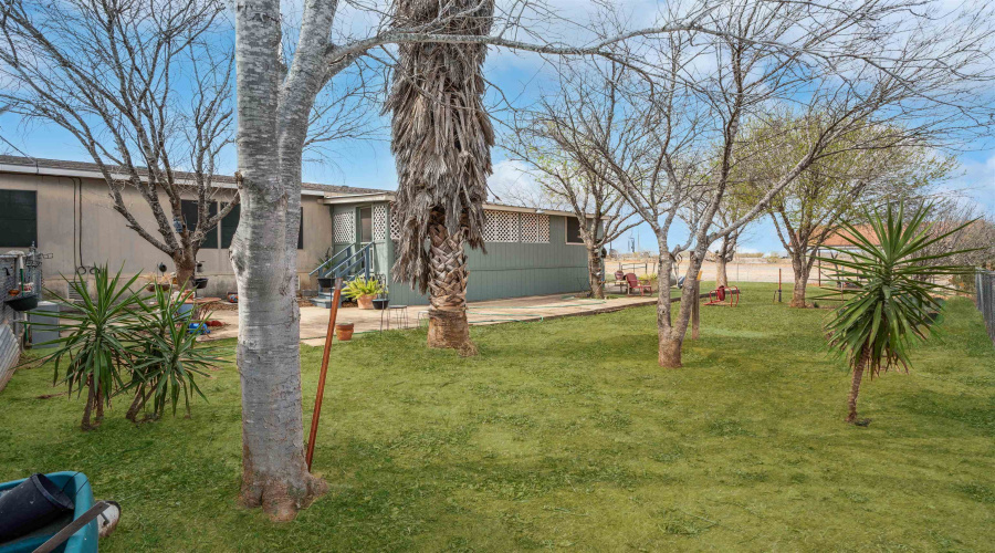 25189 IH 35 Frontage, ENCINAL, Texas 78019, ,Land,For Sale,25189 IH 35 Frontage,20261038