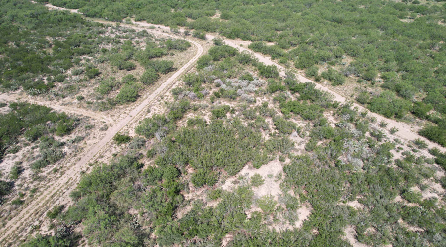 0000 ABST 423, Laredo, Texas 78046, ,Land,For Sale,0000 ABST 423,20261044